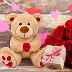 11 Inch Valentines Day Stuffed Gift