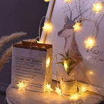 Christmas Lights For Outdoor