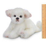 Angel Maltese Plush Animal Puppy Dog 13 Inch Stuffed Toy