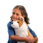 Chadwick Corgi Plush Collectible Stuffed Toy