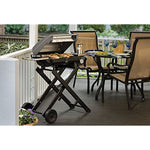 Roll Away Gas Grill Stainless Steel 27 3