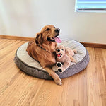 21 Soft Cuddly Golden Retriever Plush Toys