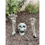 Realistic Skeleton Stakes Halloween Decorations for Lawn