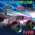 Double E Ford Raptor F150 Remote Control Car With Rechargeable Battery