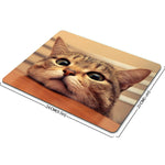 Smooffly Gaming Mouse Pad Custom Curious Cute Cat Look At You With Eager Eyes On Table Customized Rectangle Non Slip Rubber Mousepad Gaming Mouse Pad