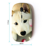 Koolmouse Optical 2 4G Wireless Mouse Great Pyrenees Canaan Dog Pet