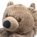 Warmies Microwavable Plush 13 Inch Brown Bear Stuffed Toy