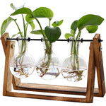 Air Planter Bulb Glass Vase