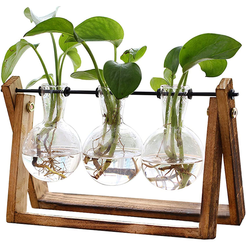 Air Planter Bulb Glass Vase