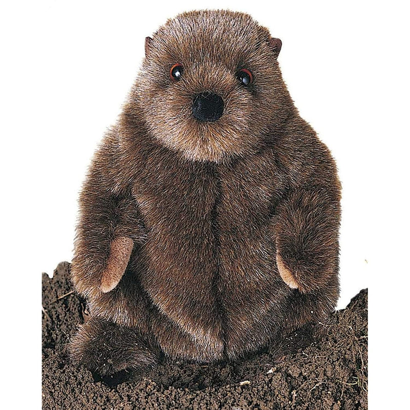 Chuckwood Groundhog Plush 11 Inch Stuffed Toy