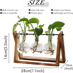 Air Planter Bulb Glass Vase