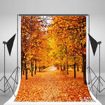 Laeacco Autumn Scenery 3X5Ft Vinyl Photography Backdrop Tree And Fall Leaves View 1X1 5M Background Studio Props