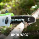 Cordless Pole Saw Battery And Charger