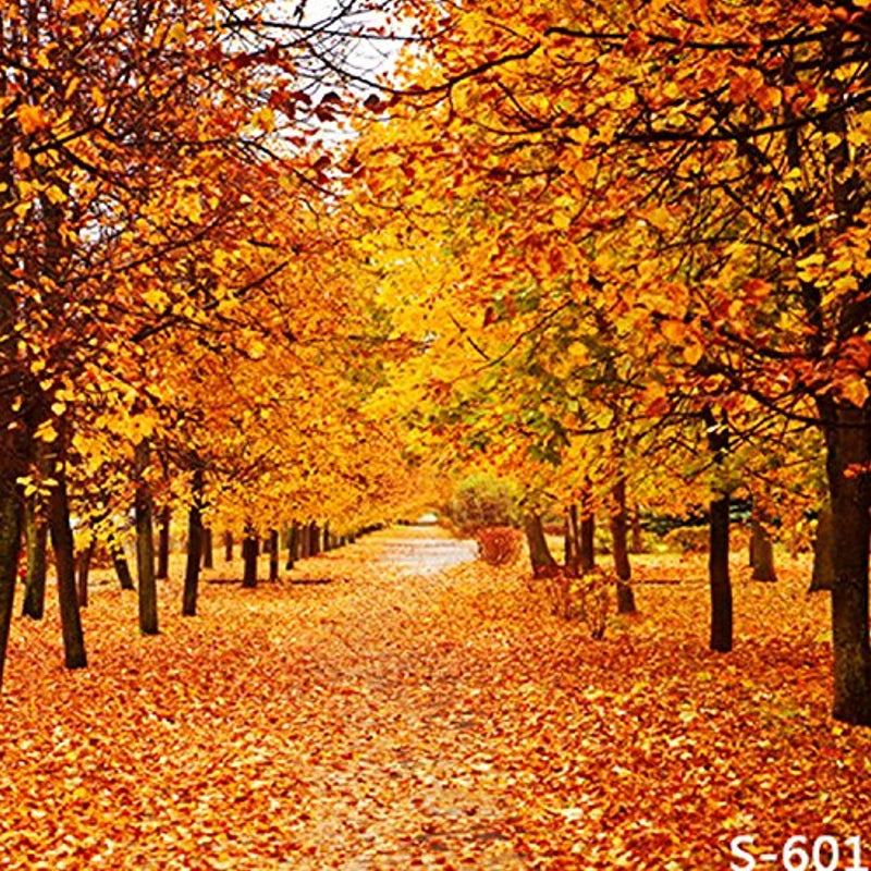 3X5Ft Vinyl Autumn Fall Maple Yellow Tree Leaves Photography Studio Backdrop Background