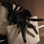 Huggable Black Spider Scorpion Plush Toys