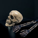 Realistic Skeleton Stakes Halloween Decoration