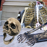 Realistic Skeleton Stakes Halloween Decoration