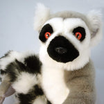Ringo The Ring Tailed Lemur 21 Inch Stuffed Toy