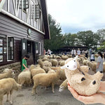 Cute Zipper Plushie Shaved Sheep Stuffed Toy