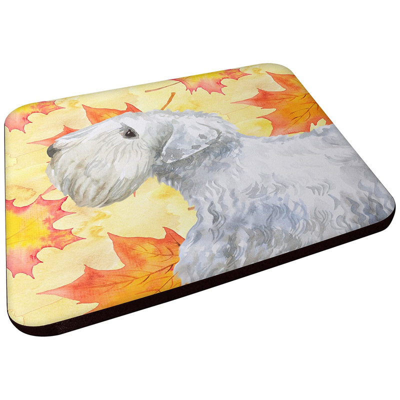 Carolines Treasures Sealyham Terrier Fall Decorative Coasters Multicolor