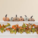 Thanksgiving 6 Pcs Hand Painted Pumpkins