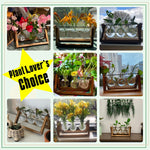 Air Planter Bulb Glass Vase