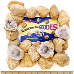 25 Break Your Own Geodes 90 Hollow Large 1 75 2 5 Crack Open Discover Amazing Surprise Crystals Inside Educational Info And Instructions Included Fun Party Favors Prizes