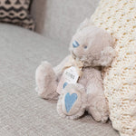 Adorable Huggable Teddy Bears Stuffed Toys