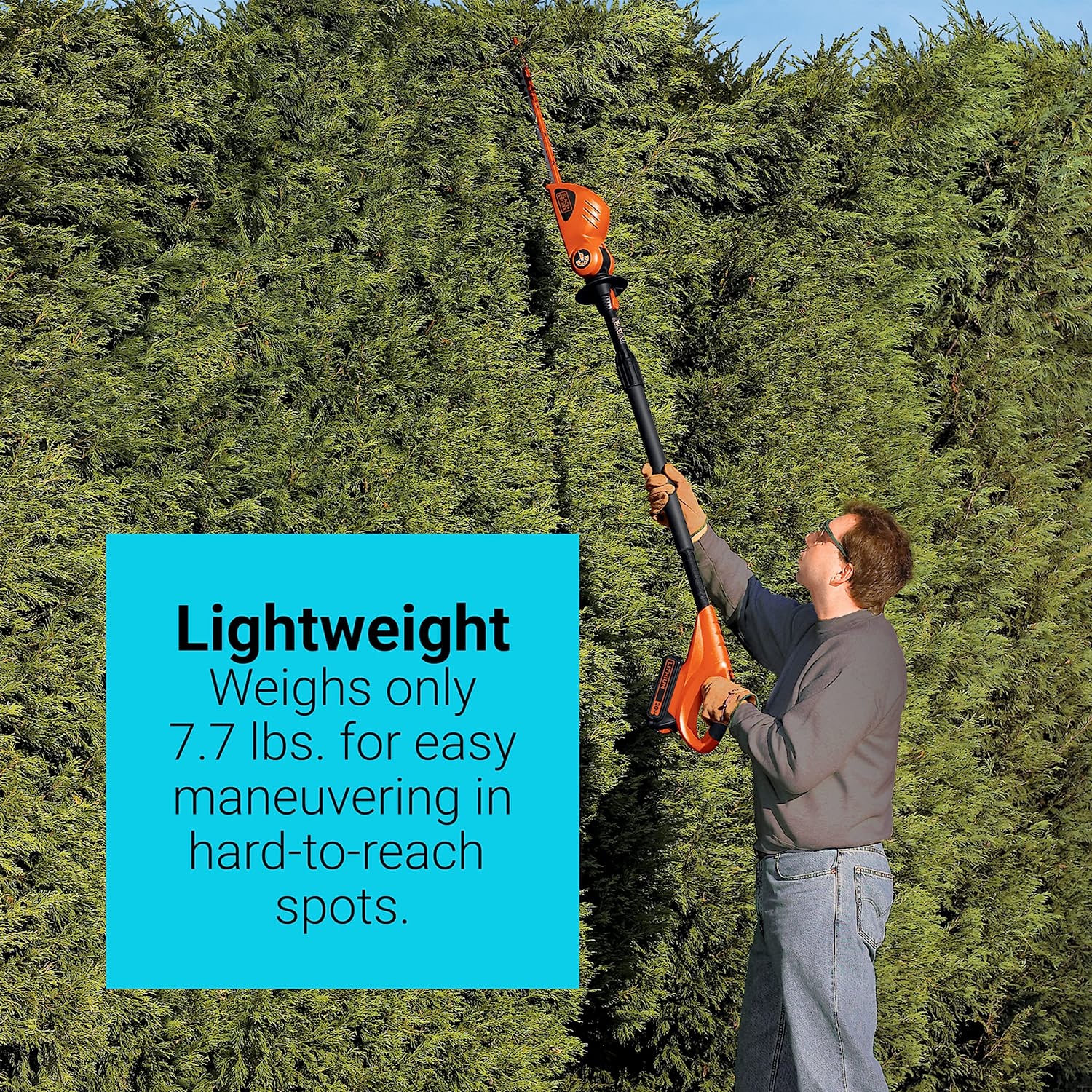 Cordless Pole Hedge Trimmer BlessMyBucket